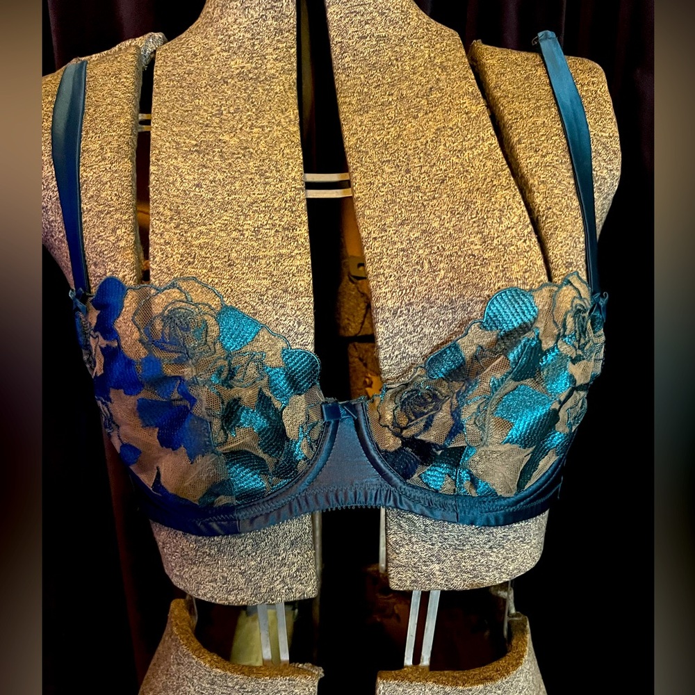 Dita von teese bra